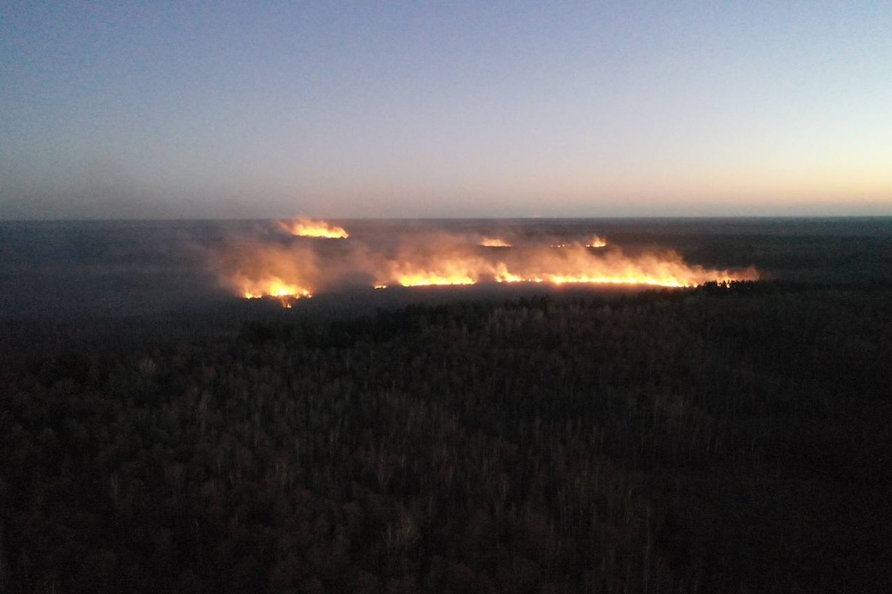 Пожары в болотистой местности на Брестчине. Фото: МЧС.