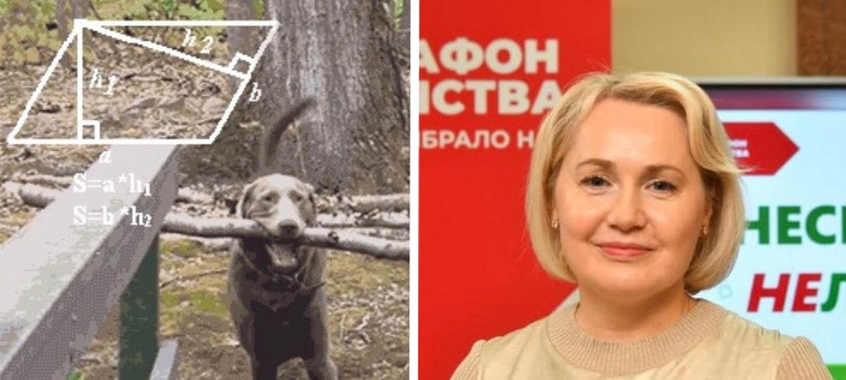 Коллаж BGmedia