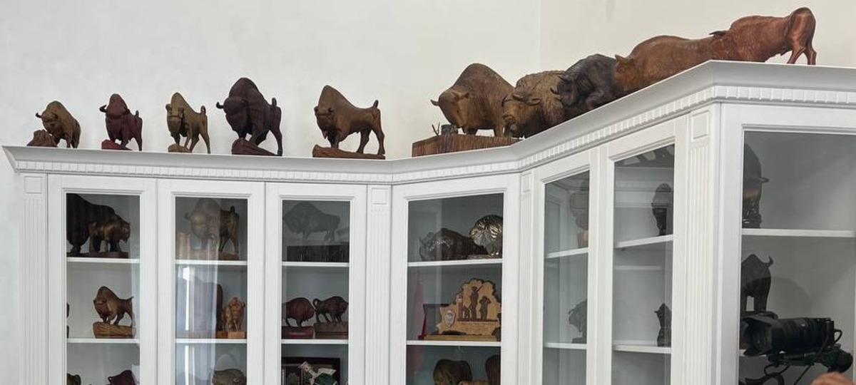 Шкафы-витрины с зубрами в Брестском облисполкоме