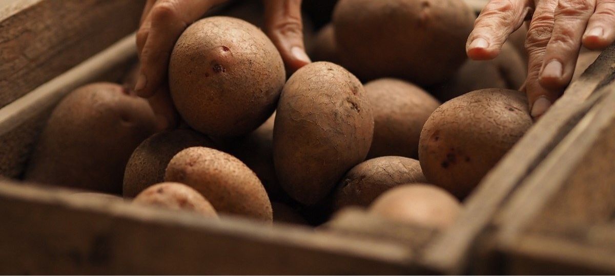 картофель, ящик