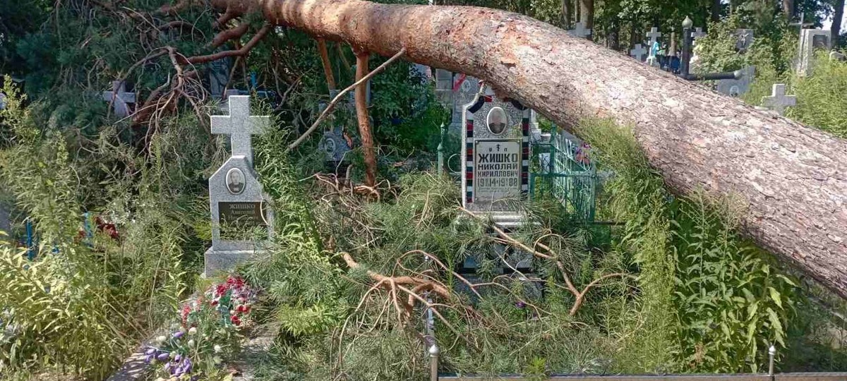 Беспорядок на кладбищах в Мозыре