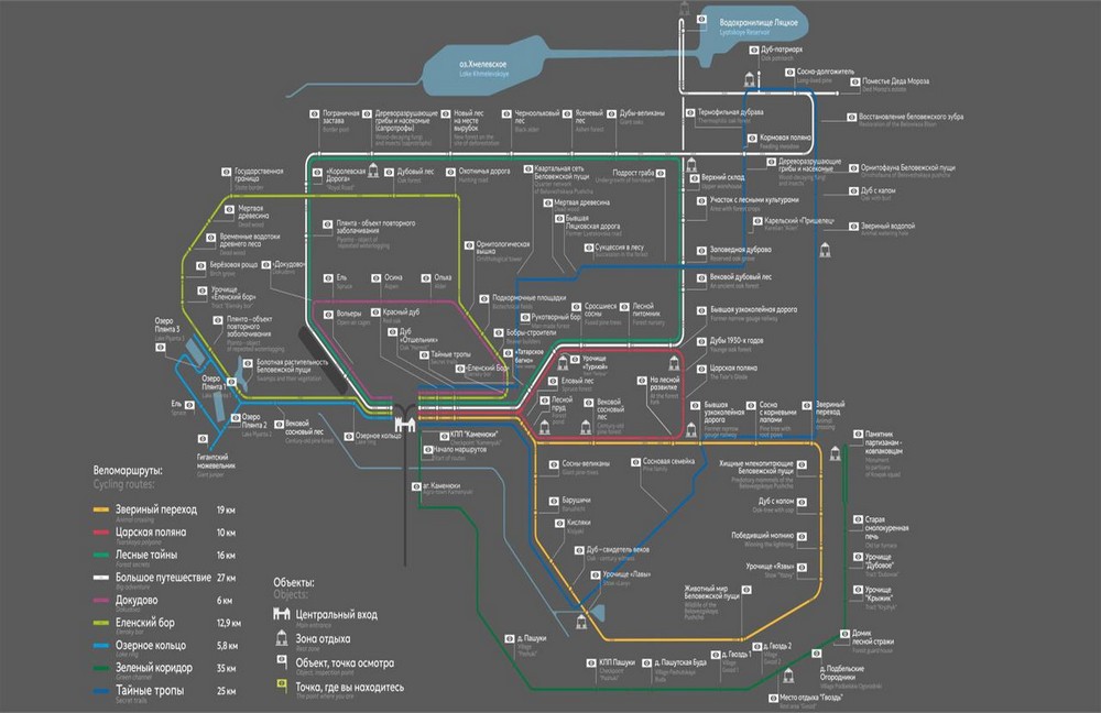 Веломаршруты в Беловежской пуще