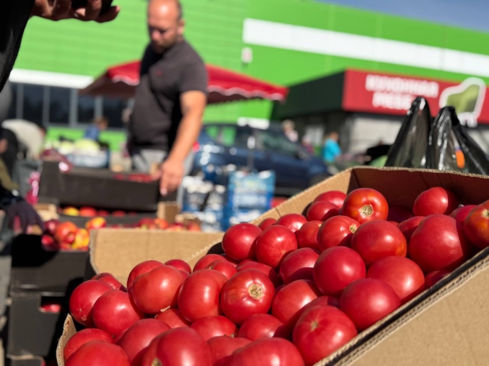 Помидоры на осенней сельскохозяйственной ярмарке в Бресте.