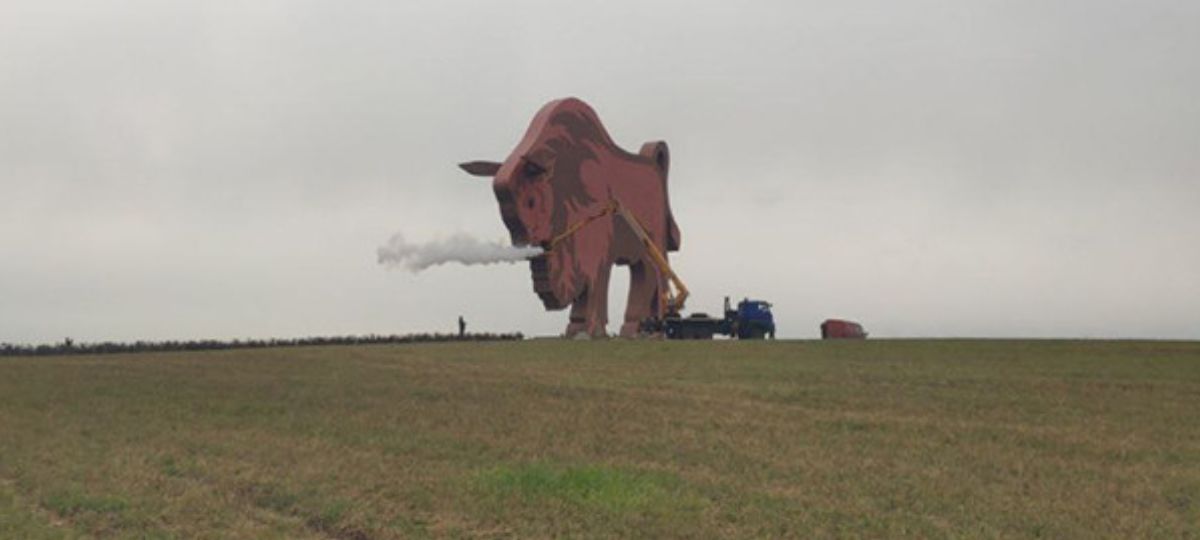 Зубр, трасса М1, пар