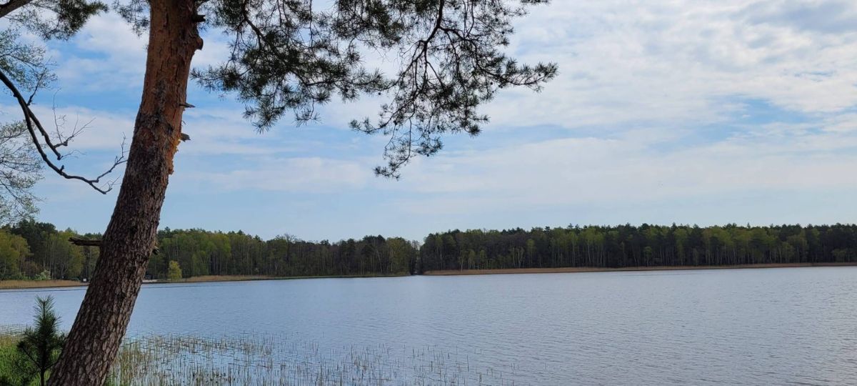 База Белое озеро, Белое озеро