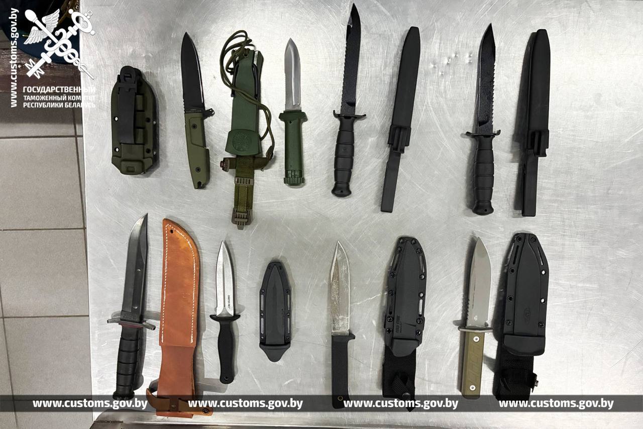 Ножи, которые нашли у беларуса на брестской таможне.