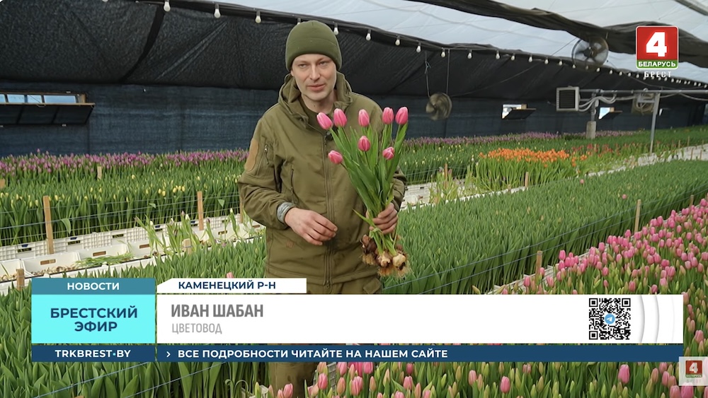 Цветовод Иван Шабан в теплице с тюльпанами под Каменцем. 