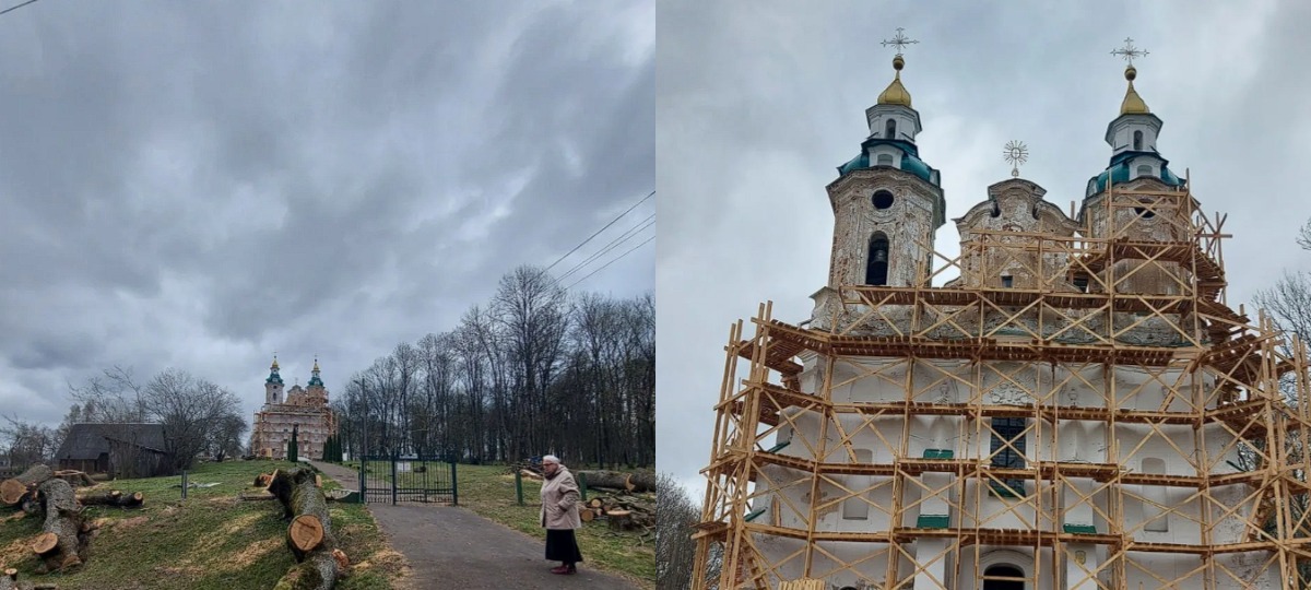 вырубили деревья