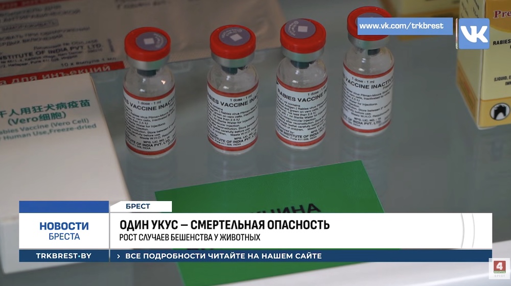 Вакцина от бешенства.